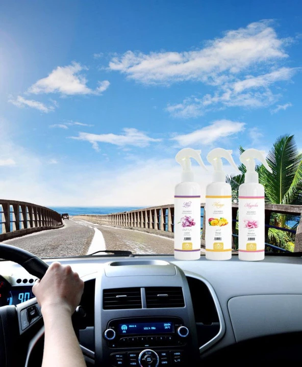 Hiranur Kokusu Oto Kokusu Spreyli Araç Oda Ve Ortam Kokusu 400 Ml Kalıcı Uzun Ömürlü - Resim 2