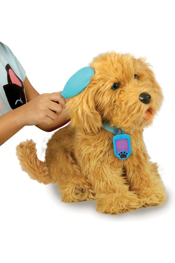 Moji Sevimli Labrador Köpeğim Türkçe 18207 - 3