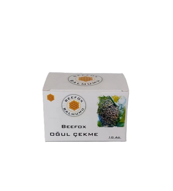 Beefox Balmumlu Oğul Yakalama Tableti