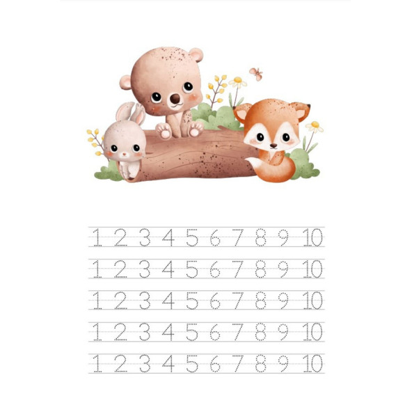 Okul Öncesi Çizgi Alfabe Sayı Şekil YAZ-SİL Kitabı - 6