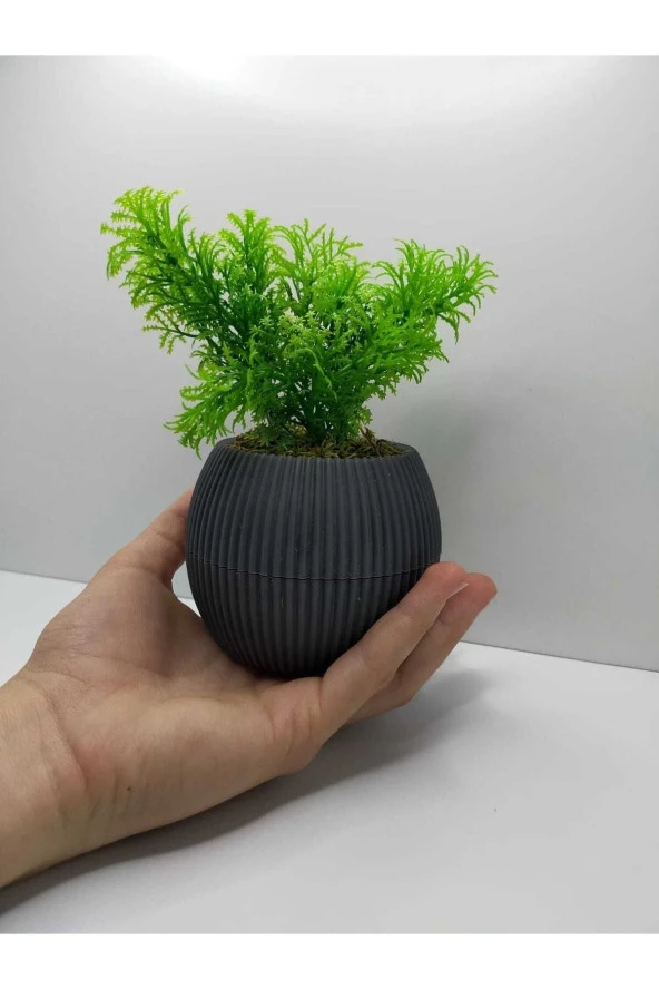 Mini Saksıda Çim Yeşili Yapay Bitki Garnitür Taş Yosunlu 17 Cm Dekoratif Banyo Mutfak Masa Çiçeği - 2