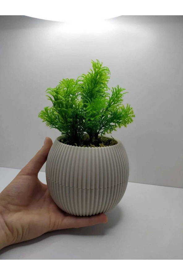 Mini Saksıda Çim Yeşili Yapay Bitki Garnitür Taş Yosunlu 17 Cm Dekoratif Banyo Mutfak Masa Çiçeği - 5