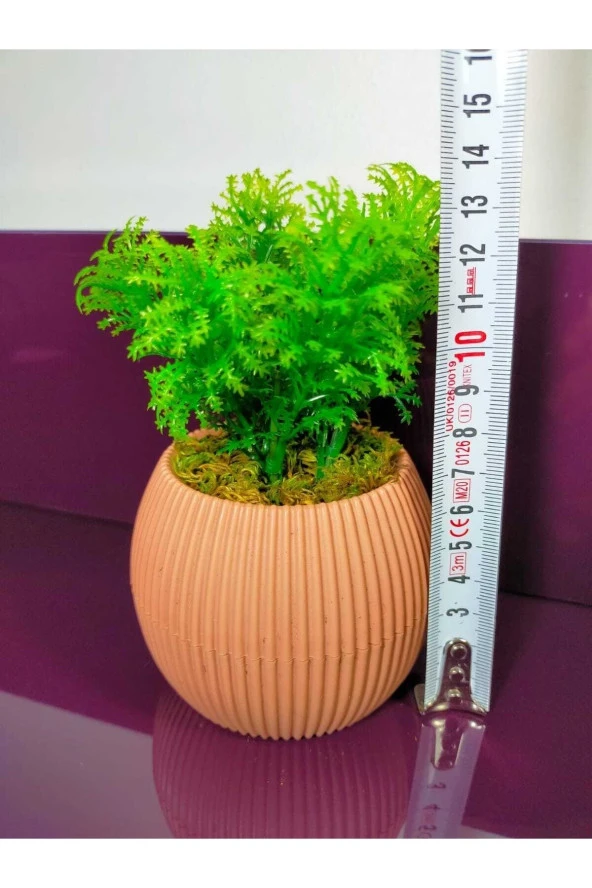 Mini Saksıda Çim Yeşili Yapay Bitki Garnitür Taş Yosunlu 17 Cm Dekoratif Banyo Mutfak Masa Çiçeği - 2