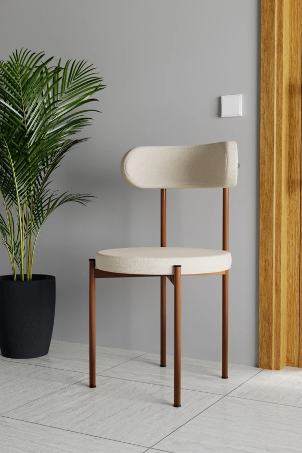 Evdemo  Trend 4lü Mutfak Masası Sandalyesi Krem-Kahve - Resim 2