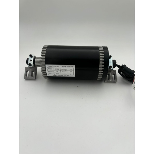 Wanrui motor permanent magnet dc brushless 310 volt 750 w 3600 R.P.M. (İkinci EL)