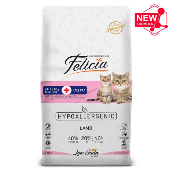 Felicia Kitten Mother Kuzulu Yavru Kedi Maması 12 Kg