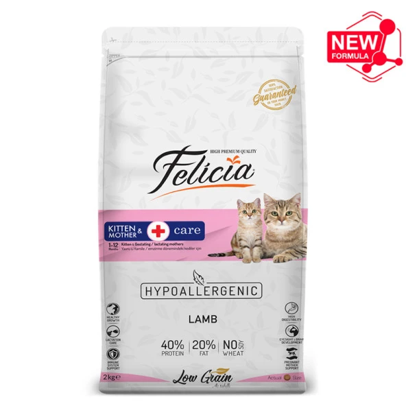 Felicia Kitten Mother Kuzulu Yavru Kedi Maması 2 Kg