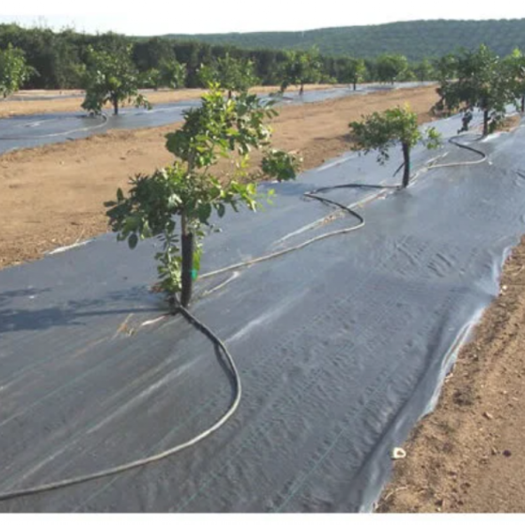ABKPlastik Siyah Taban Örtüsü 40m - 1
