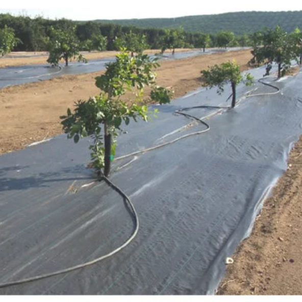 ABKPlastik Siyah Taban Örtüsü 60m