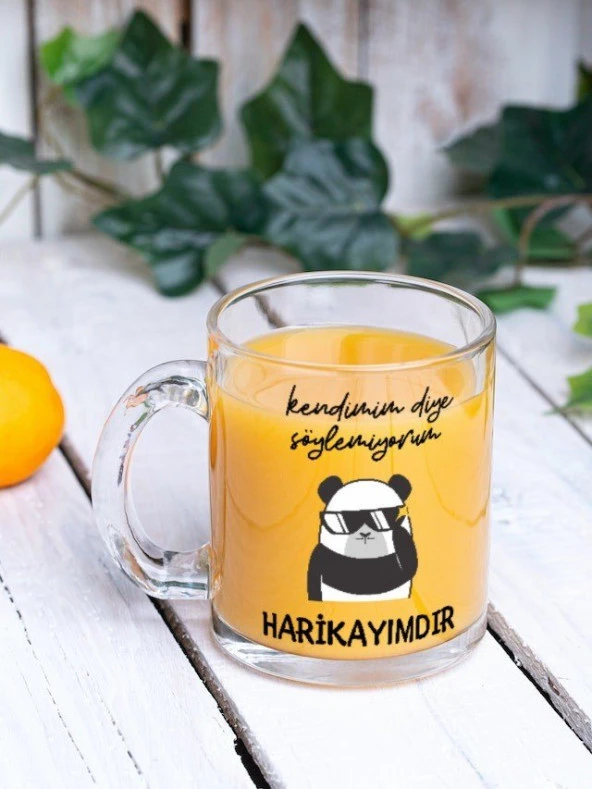 Kendimim Diye Söylemiyorum Harikayımdır Yazılı Eğlenceli Özel Tasarım Baskılı Cam Kupa Bardak