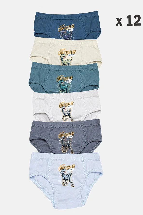 Erkek Çocuk Slip Külot 12 Li Karışık Renk