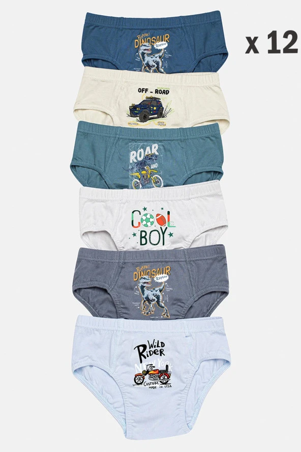 Erkek Çocuk Slip Külot 12 Li Karışık Renk