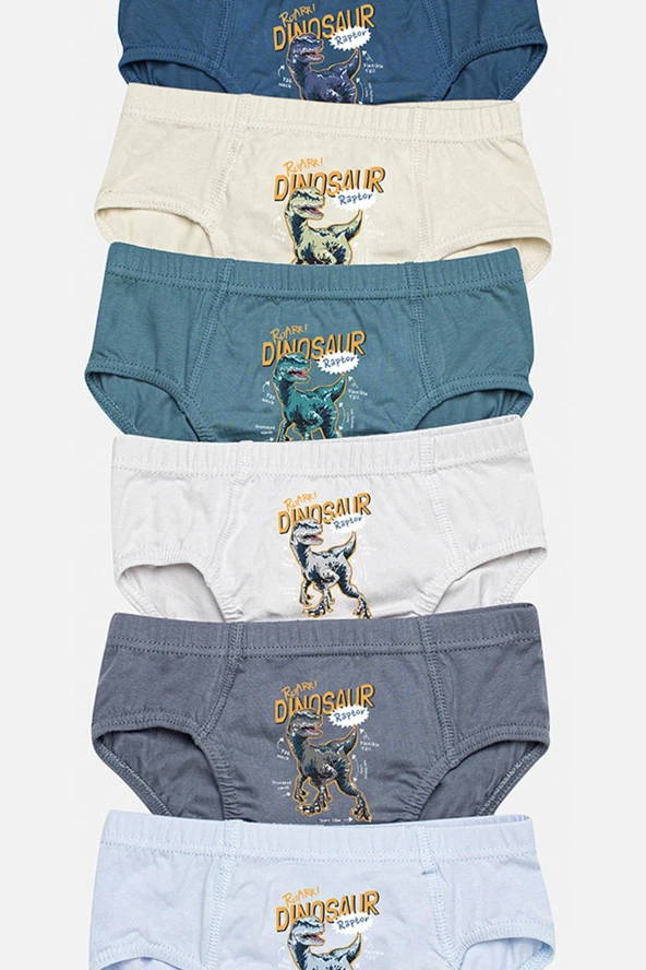 Erkek Çocuk Slip Külot 12 Li Karışık Renk - 2