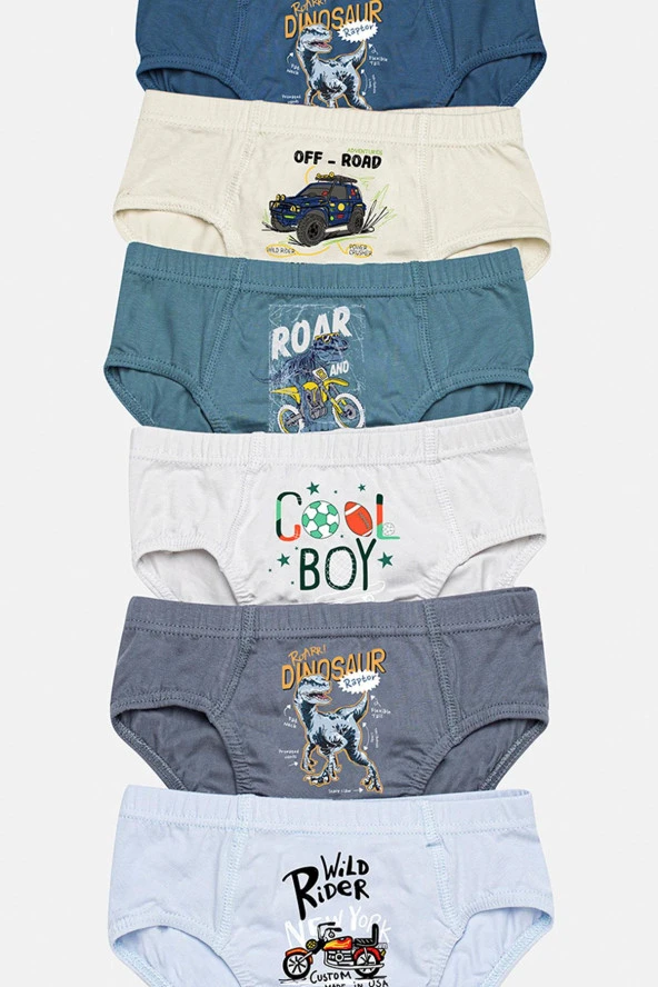 Erkek Çocuk Slip Külot 12 Li Karışık Renk - 2