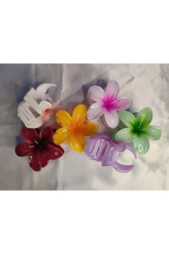 6'LI RENGARENK LOTUS ÇİÇEĞİ MANDAL TOKA 8 cm - 3