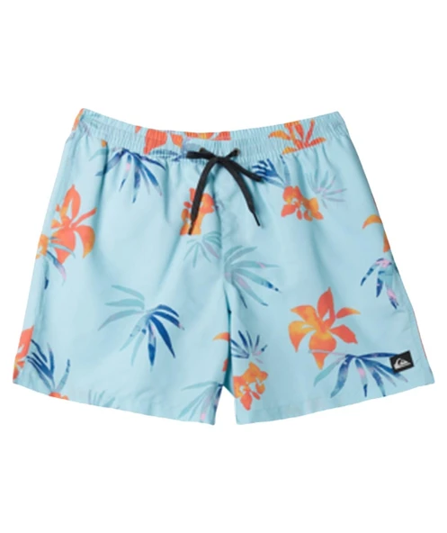 Quiksilver AQYJV03147 Everyday Mix Volley 15 Erkek Şort Mayo - 4
