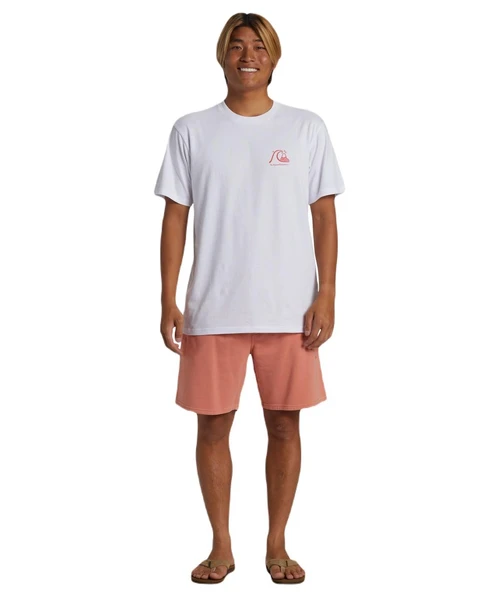 Quiksilver AQYFB03035 Salt Water Fleece Erkek Spor Şort - 3