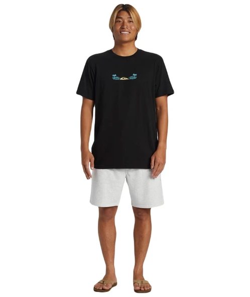 Quiksilver AQYFB03035 Salt Water Fleece Erkek Spor Şort - 4
