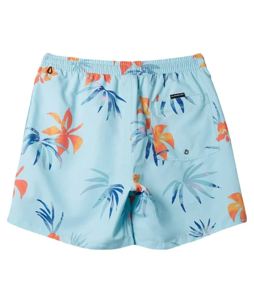 Quiksilver AQYJV03147 Everyday Mix Volley 15 Erkek Şort Mayo - 5