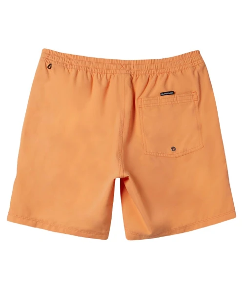 Quiksilver AQYJV03153 Everyday Solid Volley 15 Erkek Şort Mayo - Resim 6