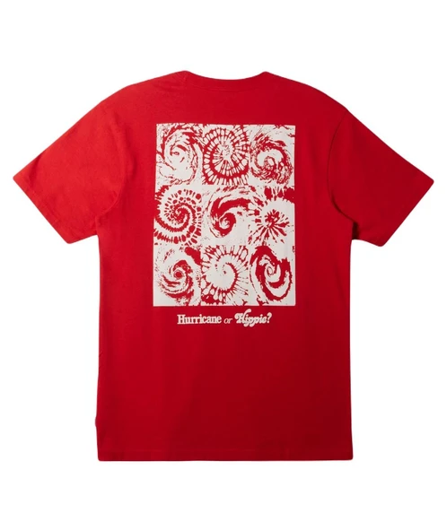 Quiksilver AQYZT09540 Hurricane Or Hippie Moe Erkek Tişört - 2