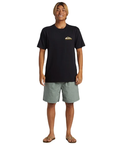 Quiksilver AQYZT09563 Step Up Mor Erkek Tişört - 1
