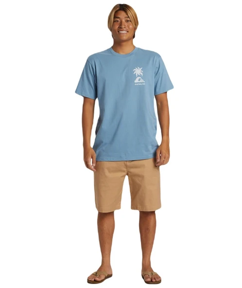 Quiksilver AQYZT09562 Tropical Breeze Mor Erkek Tişört