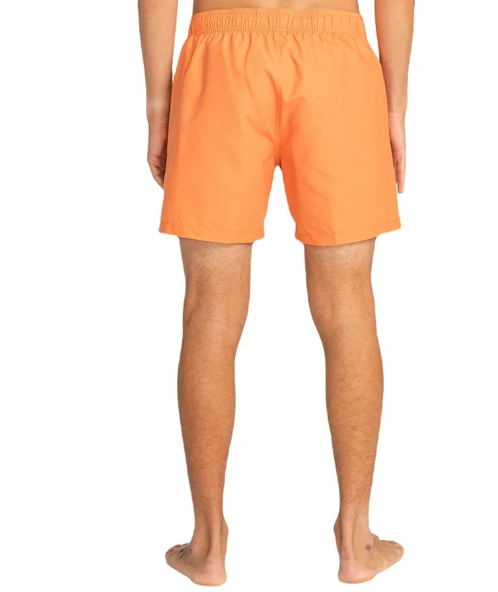 Billabong EBYJV00134 All Day Lb Erkek Şort Mayo - 5