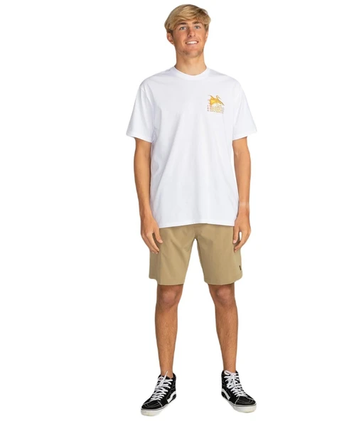 Billabong EBYZT00176 Fauna Ss Erkek Tişört - 4