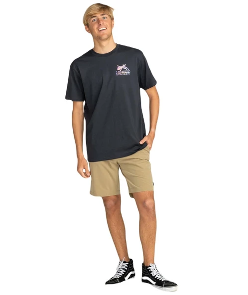 Billabong EBYZT00176 Fauna Ss Erkek Tişört - Resim 4