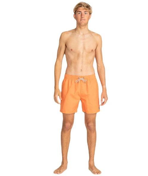 Billabong EBYJV00134 All Day Lb Erkek Şort Mayo - 4