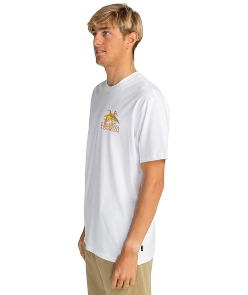 Billabong EBYZT00176 Fauna Ss Erkek Tişört - 6
