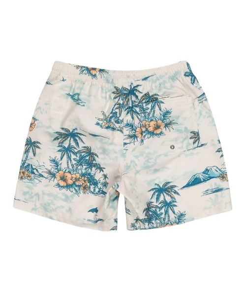 Quiksilver EQYJV04063 Longmanhill Volley Erkek Şort Mayo - 2
