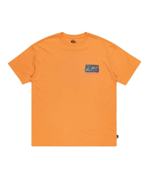 Quiksilver EQYZT07653 Spin Cycle Ss Erkek Tişört - 2