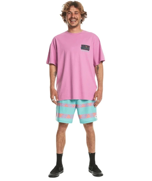 Quiksilver EQYZT07653 Spin Cycle Ss Erkek Tişört - 4