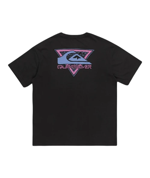 Quiksilver EQYZT07654 Take Us Back Logo Ss Erkek Tişört - 3