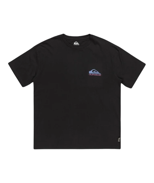 Quiksilver EQYZT07654 Take Us Back Logo Ss Erkek Tişört - 2