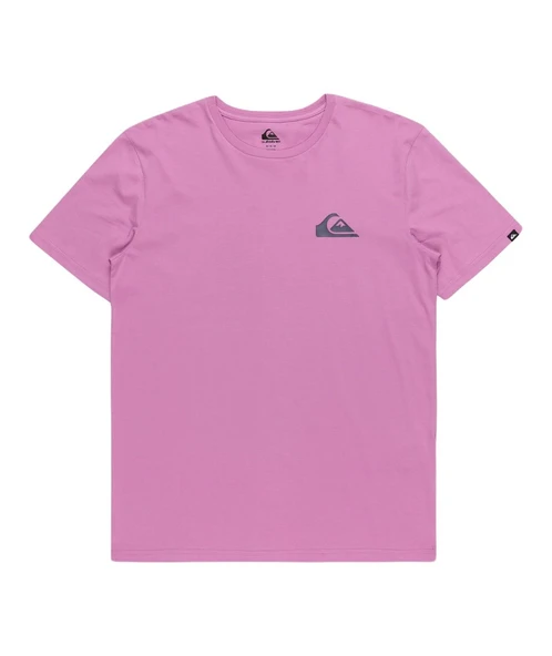 Quiksilver EQYZT07657 Mw Mini Logo Ss Erkek Tişört - 2