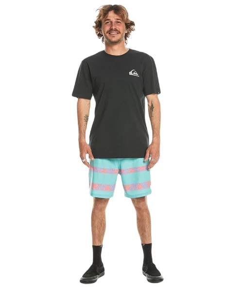 Quiksilver EQYZT07657 Mw Mini Logo Ss Erkek Tişört - 4