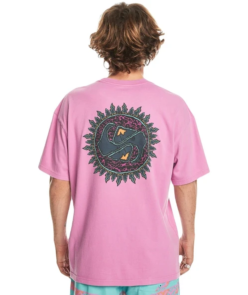 Quiksilver EQYZT07653 Spin Cycle Ss Erkek Tişört - 5