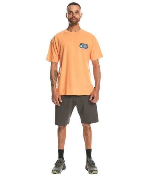 Quiksilver EQYZT07653 Spin Cycle Ss Erkek Tişört - 4