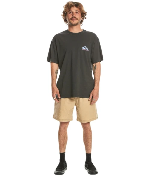 Quiksilver EQYZT07654 Take Us Back Logo Ss Erkek Tişört - 4