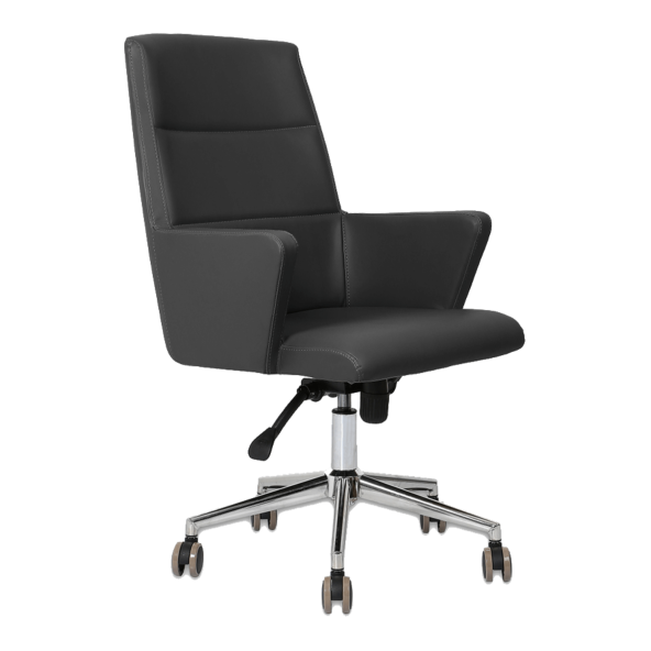 Hunt Mobilya Vaga Siyah Deri Ofis Çalışma Koltuğu - 2