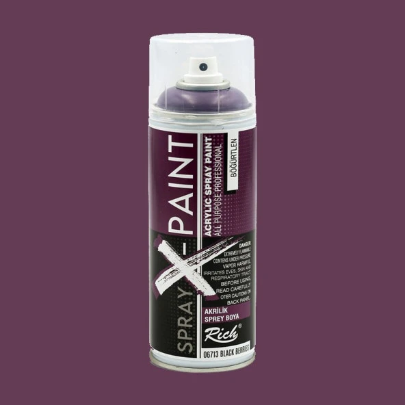 Rich Spray X-Paint Akrilik Sprey Boya 400ml Böğürtlen
