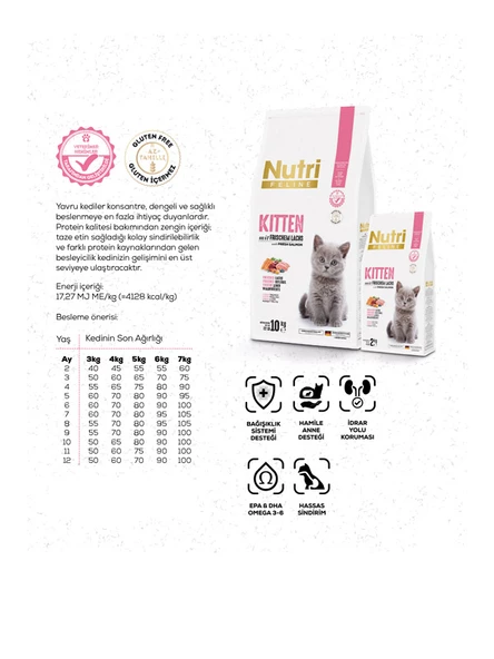 Kitten Somon Etli Yavru Kedi Maması 10Kg - 3