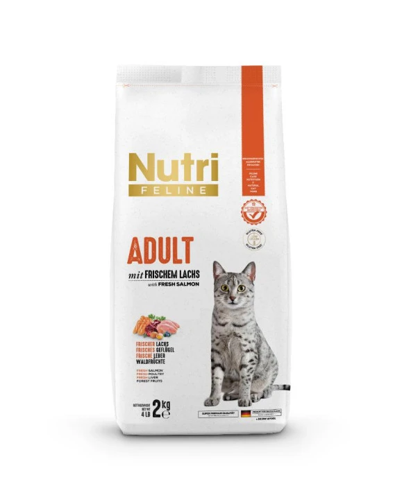 Adult Somon Etli Yetişkin Kedi Maması 2Kg - 2