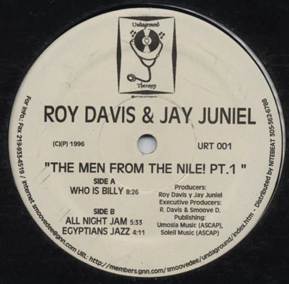 Roy Davis & Jay Juniel – The Men From The Nile! Pt. 1 - House, Deep House Vinly Plak alithestereo