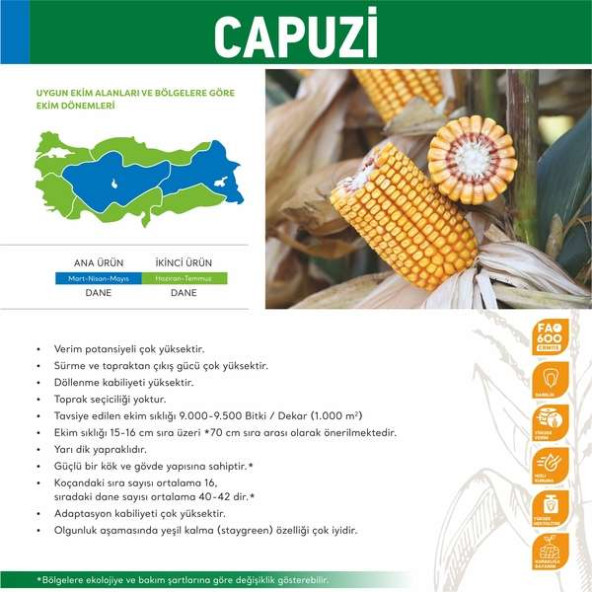 May Capuzi Danelik Mısır Tohumu 50000 Adet Tohum - 2