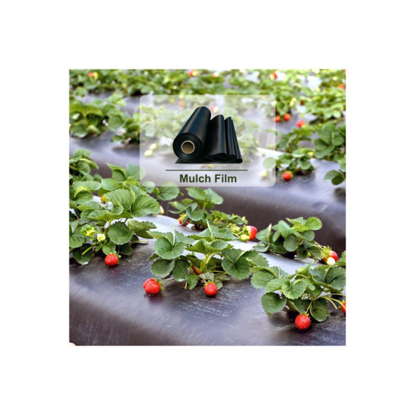 Karpuz Domates Çilek Mulch 80 Cm 30 Micron 40 Kg. - 4