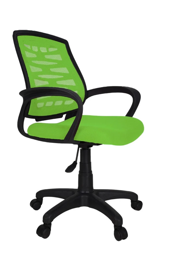 Gizmo Ergo Fileli Bilgisayar Ofis Çalışma Koltuğu Fk1000 Yeşil